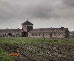 Auschwitz3