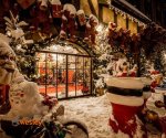 winter-kingdom_2024_1