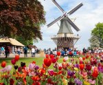 Amsterdam_5