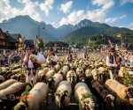 Redyk_Szczawnica_2