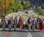 redyk_Szczawnica_7