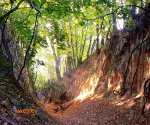 Sandomierz_4