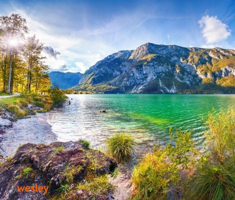 Słowenia_Jezioro_Bohinjskie