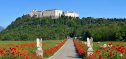 Monte_Cassino_maki_1