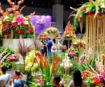 Wystawa_kwiatów_Katowice_5