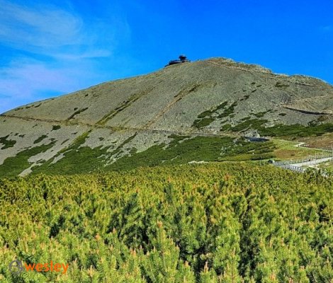 Śnieżka_2
