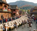 Redyk_Zawoja_3