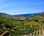 Portugalia_Dolina_Douro