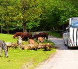 Zoo_Dvur_Kralove2