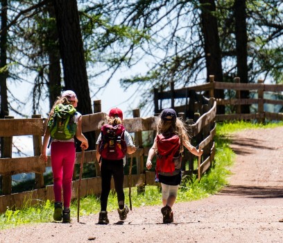Nordic-Walking2