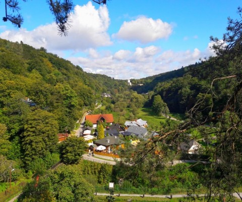 Ojcowski_Park_Narodowy_2020