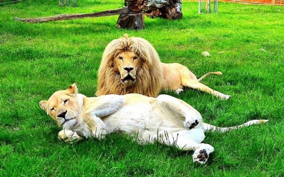 Zoo_Borysew_3