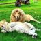 Zoo_Borysew_3