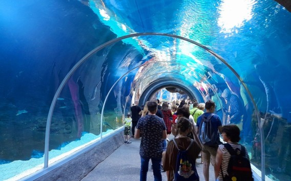 Orientarium_6