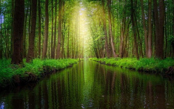 Spreewald_1