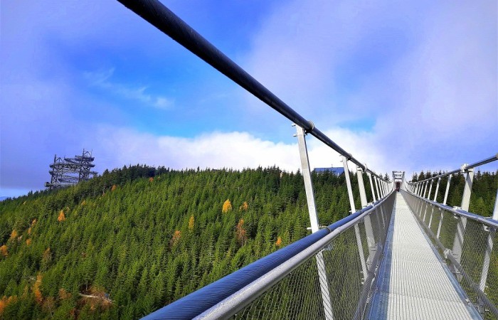 Sky_Bridge_8