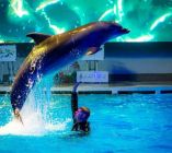 Kłajpeda_delfinarium_1
