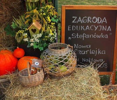 Zagroda_Stefanówka_1