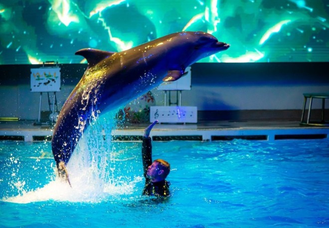 Kłajpeda_delfinarium_1