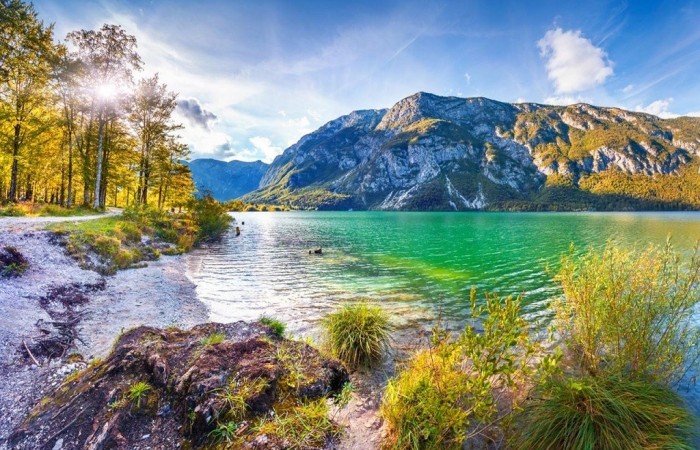 Słowenia_Jezioro_Bohinjskie