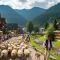 Redyk_Szczawnica_1