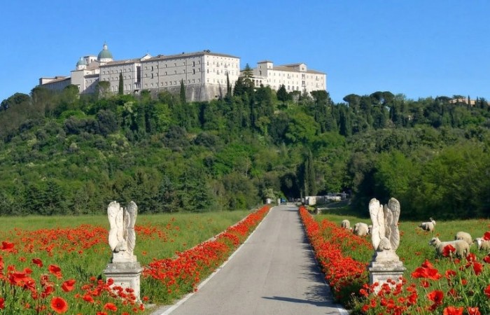 Monte_Cassino_maki_1